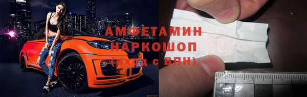 индика Ахтубинск