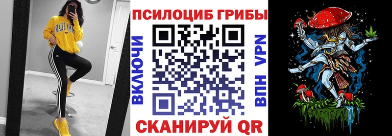 Купить  Нарткала  Галлюциногенные грибы GOLDEN TEACHER 